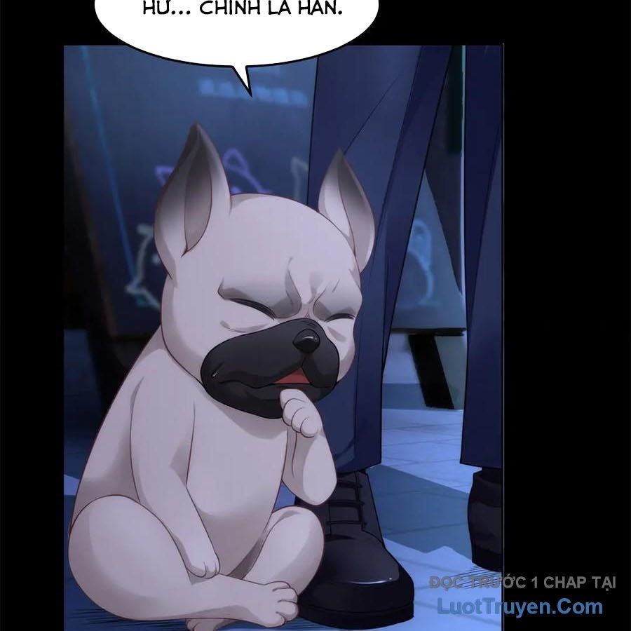 Cửa Hàng Sủng Vật Thần Kỳ Chapter 12 - Trang 2