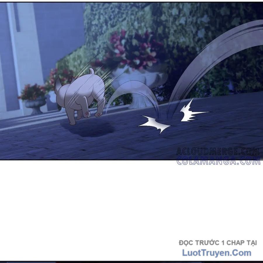 Cửa Hàng Sủng Vật Thần Kỳ Chapter 13 - Trang 2
