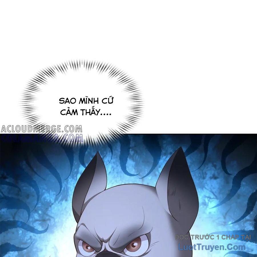 Cửa Hàng Sủng Vật Thần Kỳ Chapter 14 - Trang 2