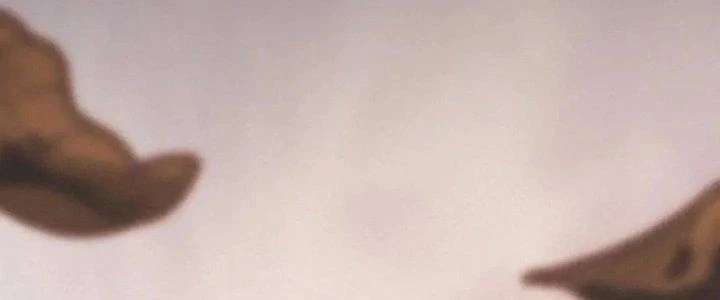 Trải Nghiệm Trở Thành Huyết Tộc Chapter 14 - Trang 2