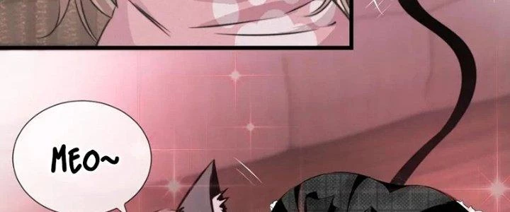 Trải Nghiệm Trở Thành Huyết Tộc Chapter 14 - Trang 2