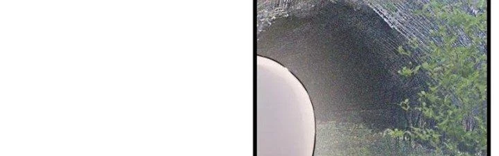 Trải Nghiệm Trở Thành Huyết Tộc Chapter 14 - Trang 2