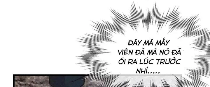 Trải Nghiệm Trở Thành Huyết Tộc Chapter 14 - Trang 2