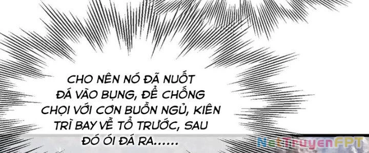 Trải Nghiệm Trở Thành Huyết Tộc Chapter 14 - Trang 2