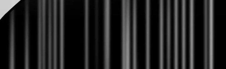 Trải Nghiệm Trở Thành Huyết Tộc Chapter 16 - Trang 2