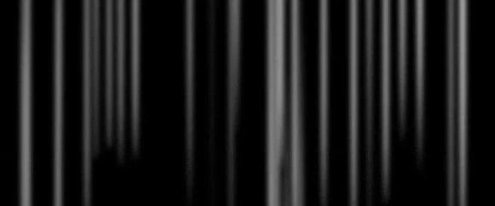 Trải Nghiệm Trở Thành Huyết Tộc Chapter 16 - Trang 2