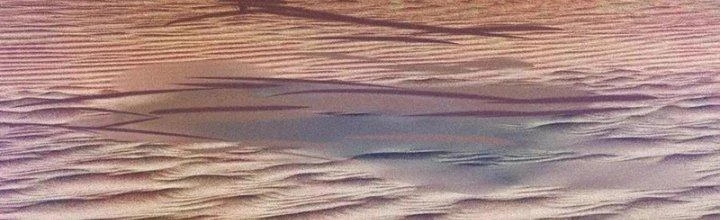 Trải Nghiệm Trở Thành Huyết Tộc Chapter 78 - Trang 2