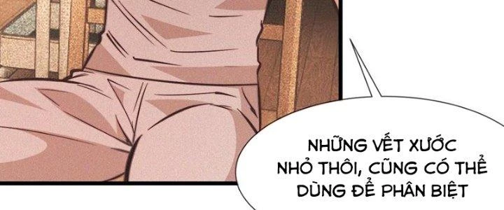 Trải Nghiệm Trở Thành Huyết Tộc Chapter 82 - Trang 2
