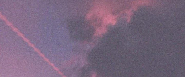 Trải Nghiệm Trở Thành Huyết Tộc Chapter 84 - Trang 2