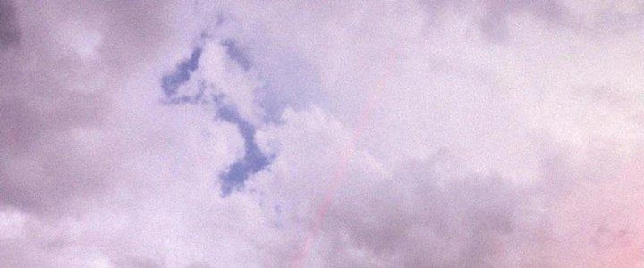 Trải Nghiệm Trở Thành Huyết Tộc Chapter 84 - Trang 2