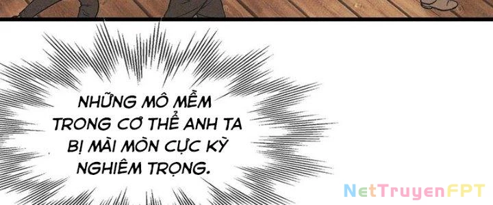 Trải Nghiệm Trở Thành Huyết Tộc Chapter 84 - Trang 2