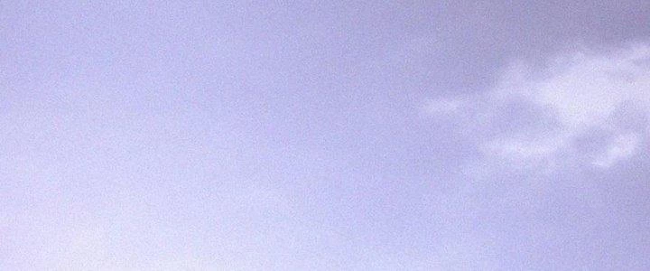 Trải Nghiệm Trở Thành Huyết Tộc Chapter 84 - Trang 2