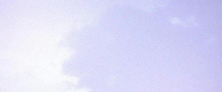 Trải Nghiệm Trở Thành Huyết Tộc Chapter 84 - Trang 2