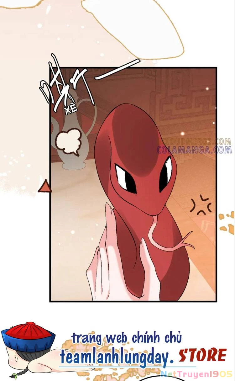 Cách Thức Sinh Tồn Của Pháo Hôi Khuê Nữ Chapter 377 - Trang 2