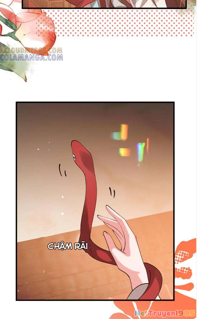 Cách Thức Sinh Tồn Của Pháo Hôi Khuê Nữ Chapter 377 - Trang 2