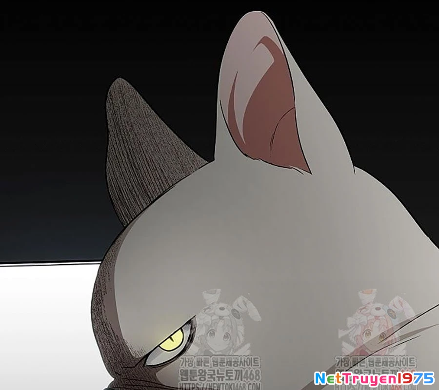 Kiếm Vương Chapter 48 - Trang 2