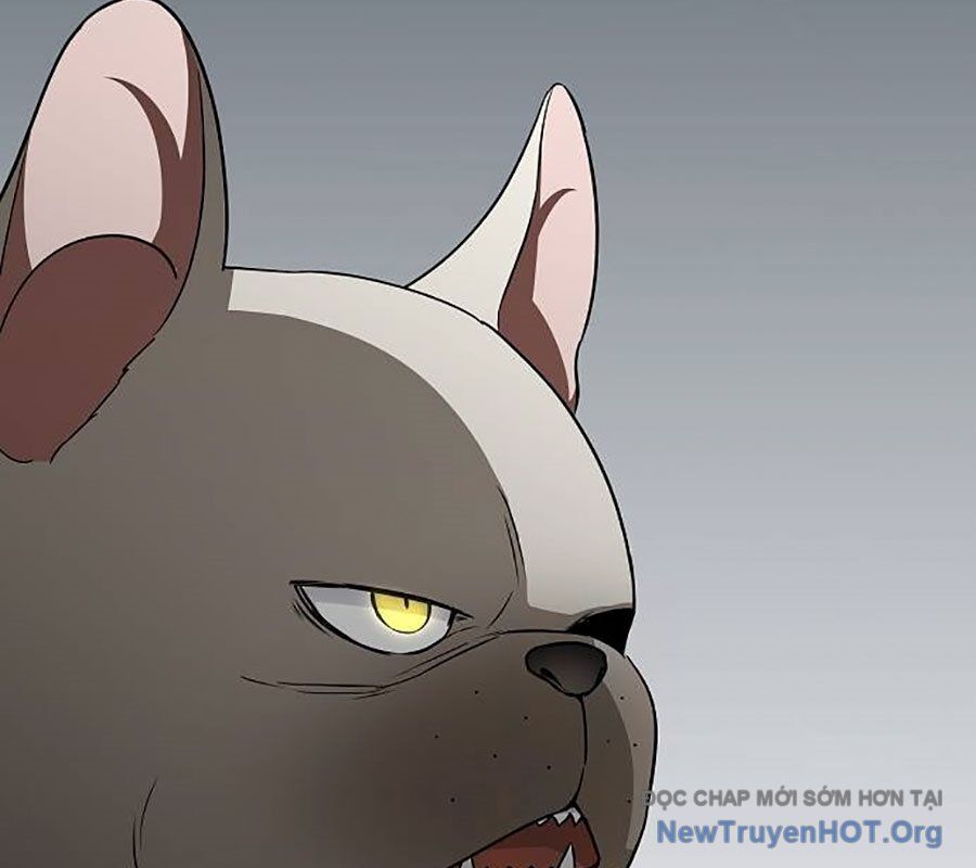 Kiếm Vương Chapter 55 - Trang 2