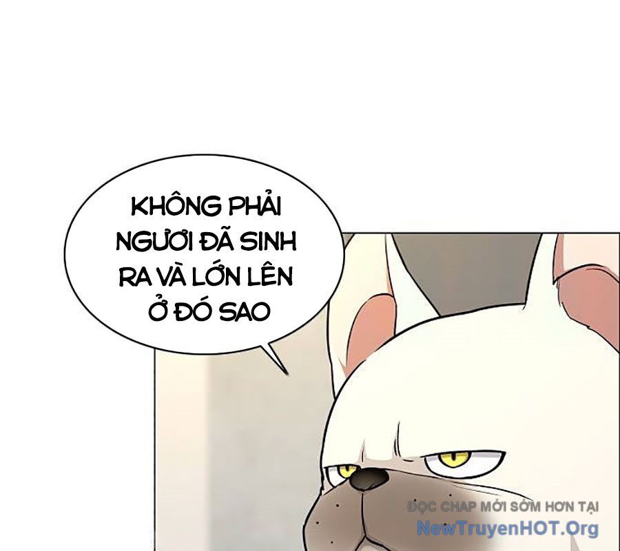 Kiếm Vương Chapter 55 - Trang 2