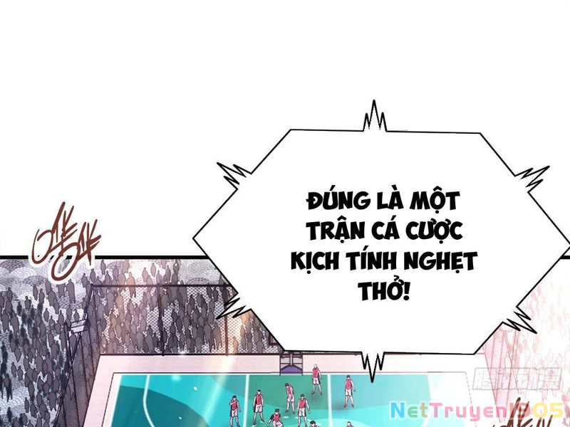 Cực Tốc Hồi Lam Chapter 3 - Trang 2