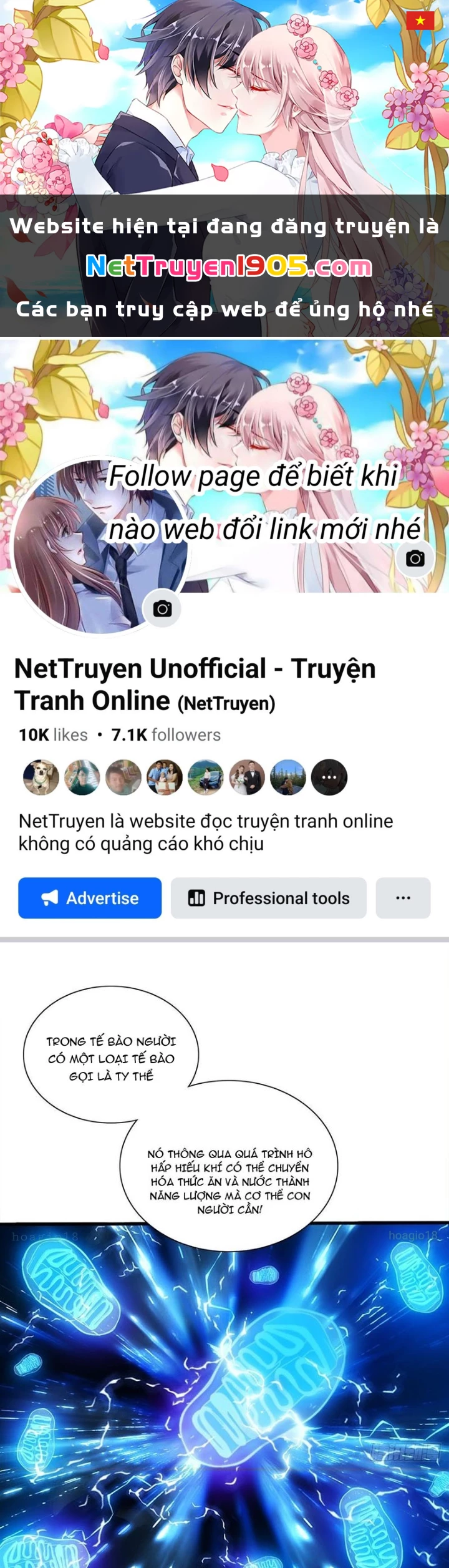 Cực Tốc Hồi Lam Chapter 11 - Trang 2