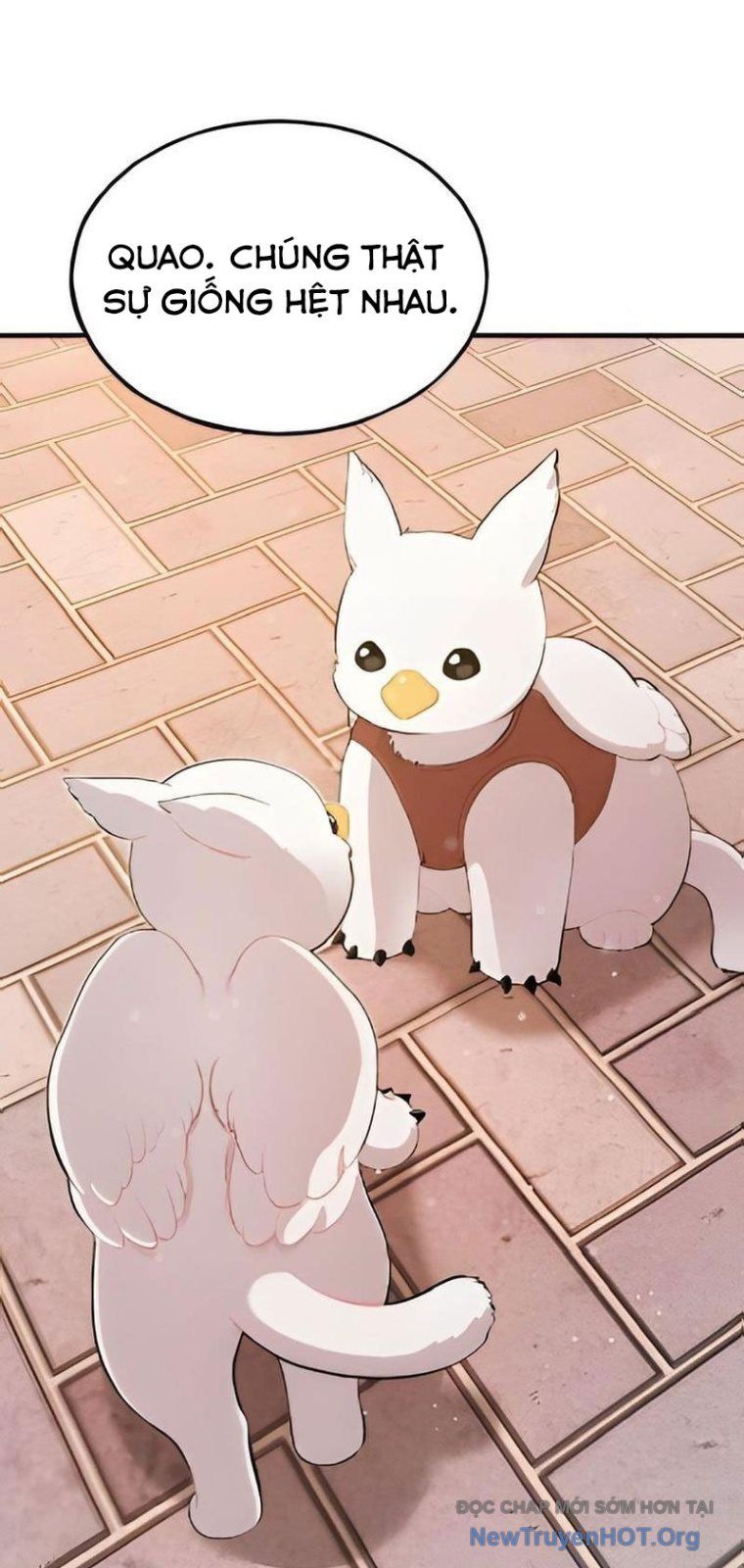 Chào Nhé, Chú Vẹt Mắt Tròn Griffin! Chapter 2 - Trang 2