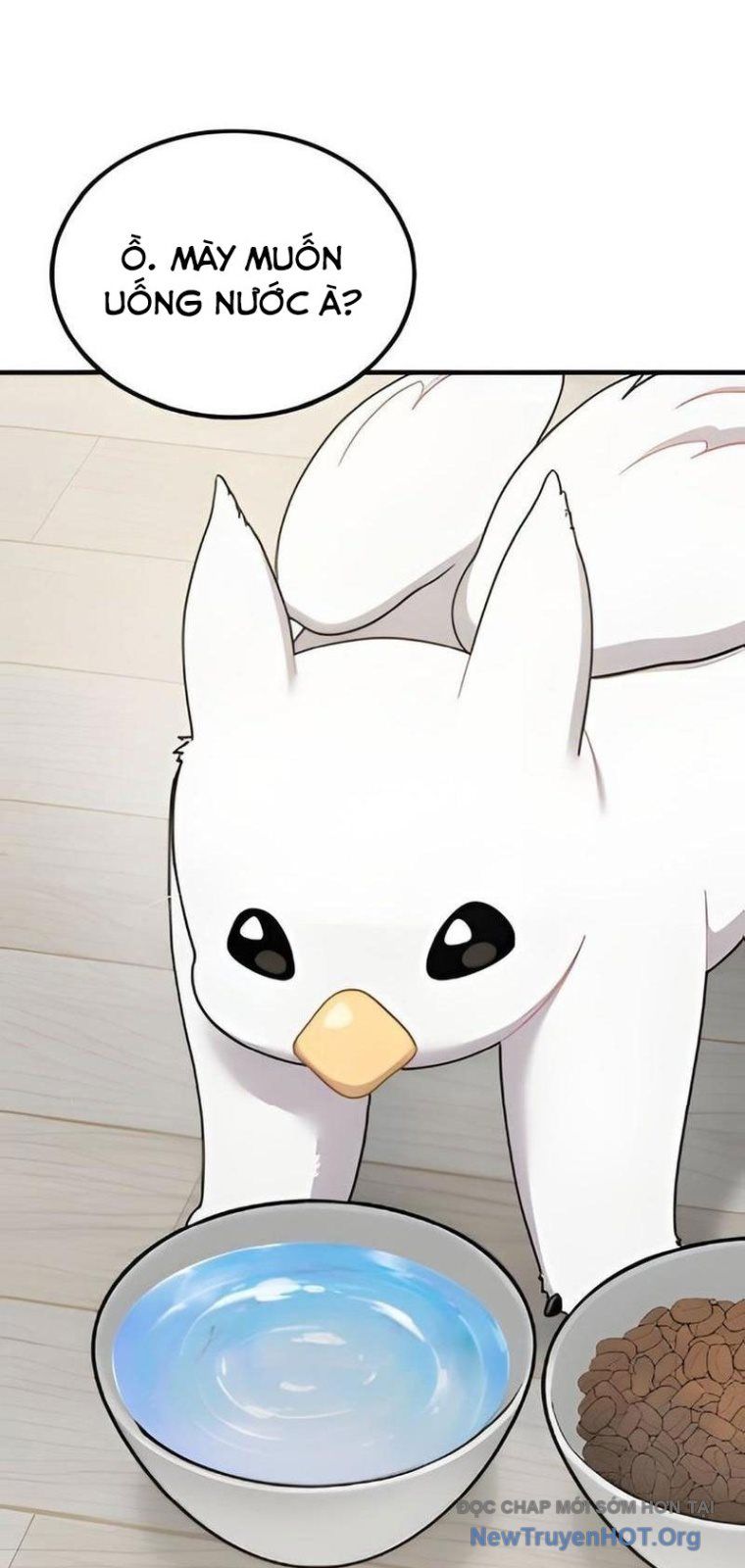 Chào Nhé, Chú Vẹt Mắt Tròn Griffin! Chapter 2 - Trang 2