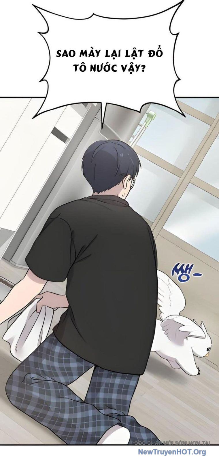 Chào Nhé, Chú Vẹt Mắt Tròn Griffin! Chapter 2 - Trang 2