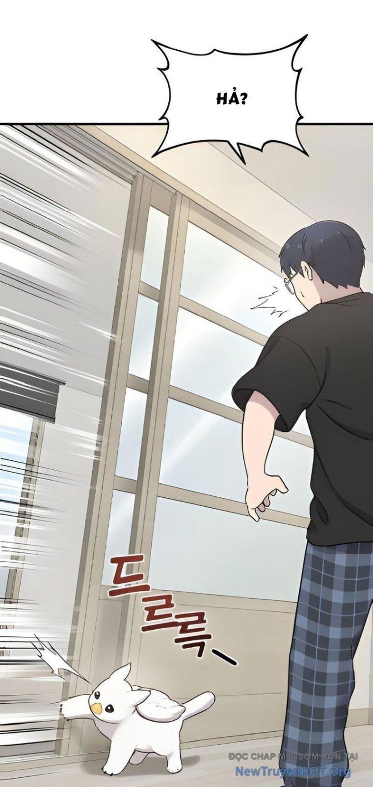 Chào Nhé, Chú Vẹt Mắt Tròn Griffin! Chapter 2 - Trang 2