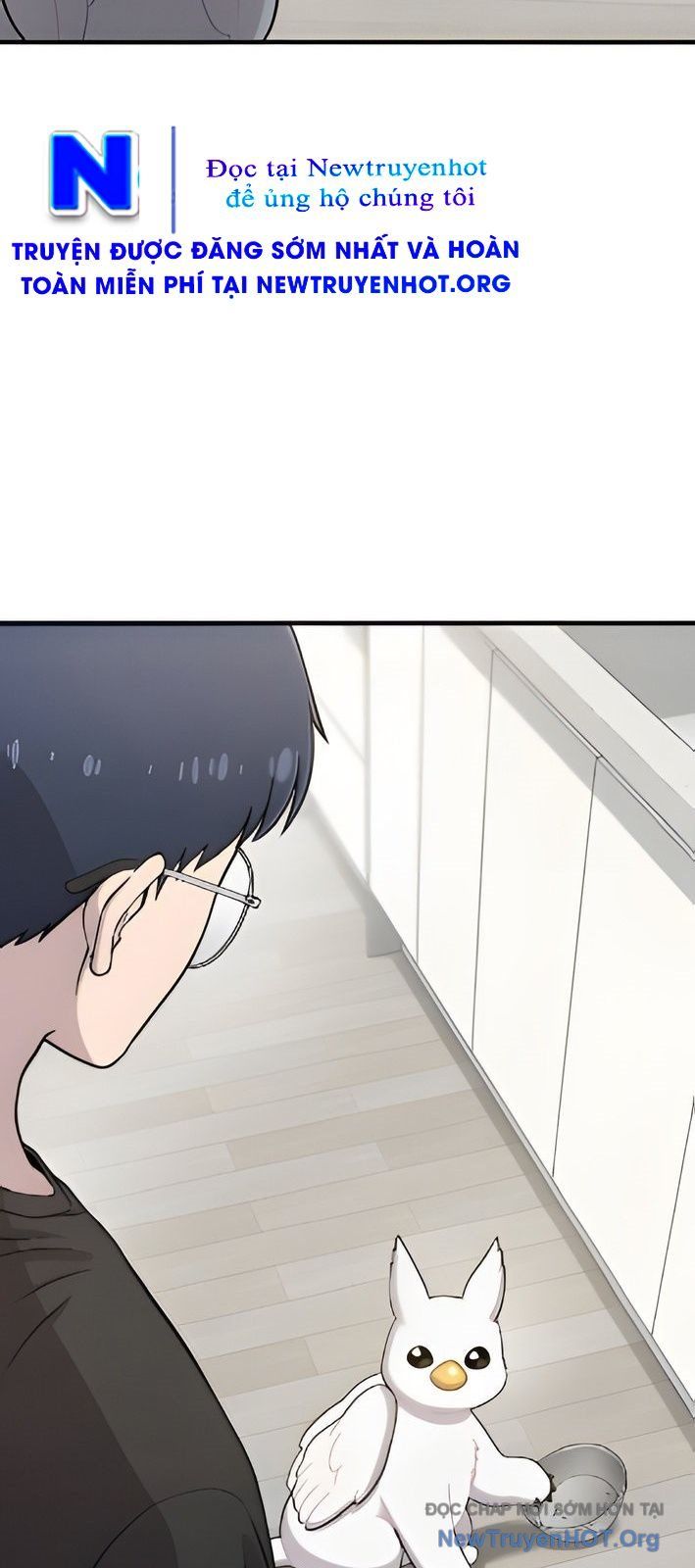 Chào Nhé, Chú Vẹt Mắt Tròn Griffin! Chapter 4 - Trang 2