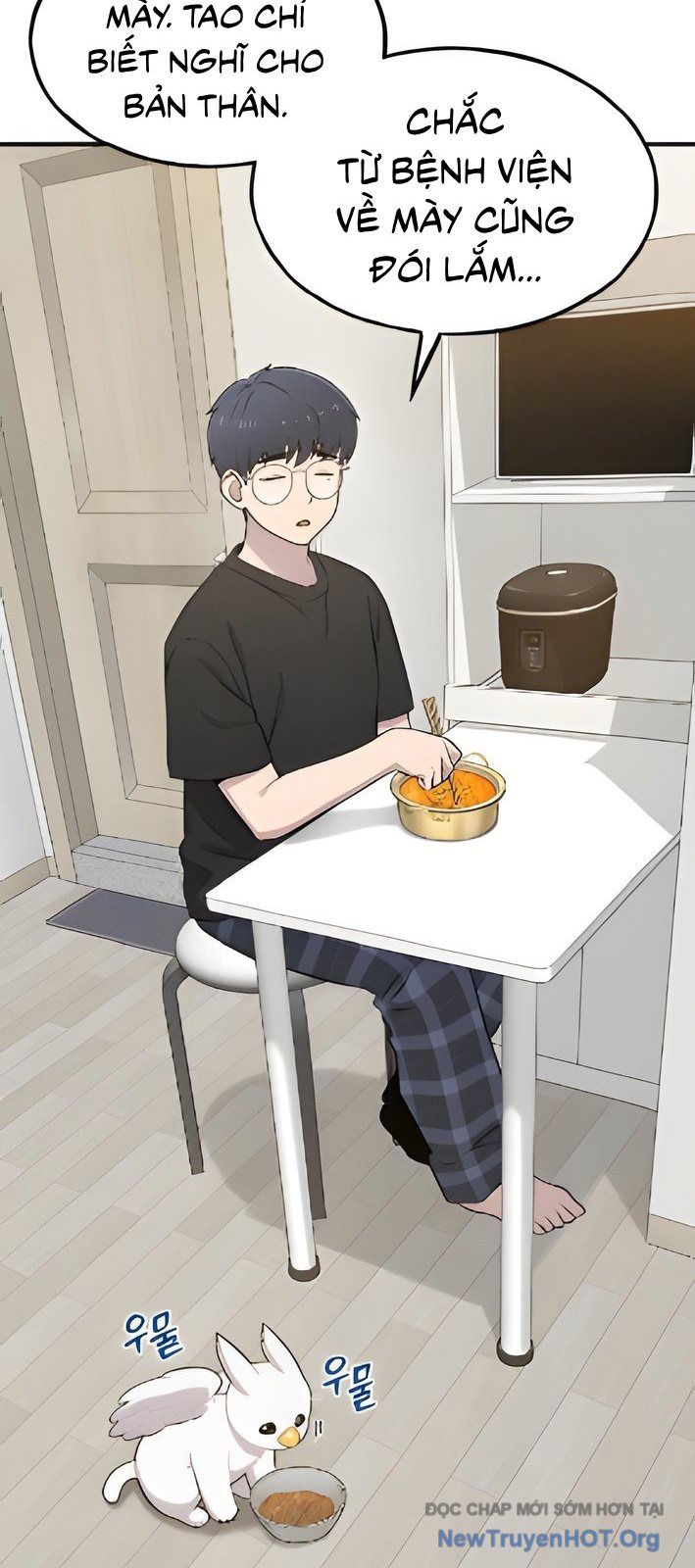 Chào Nhé, Chú Vẹt Mắt Tròn Griffin! Chapter 4 - Trang 2