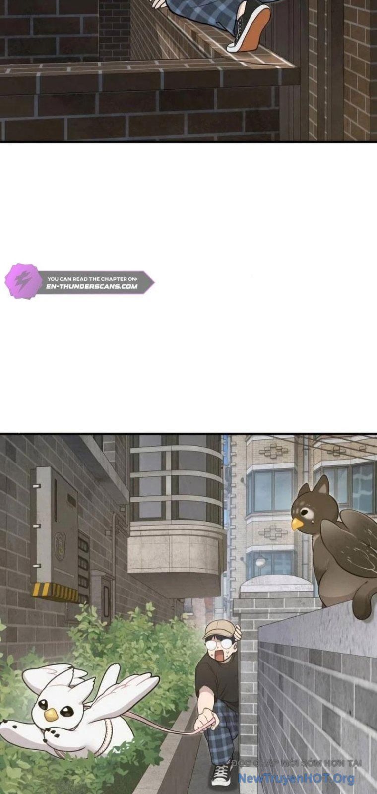 Chào Nhé, Chú Vẹt Mắt Tròn Griffin! Chapter 6 - Trang 2