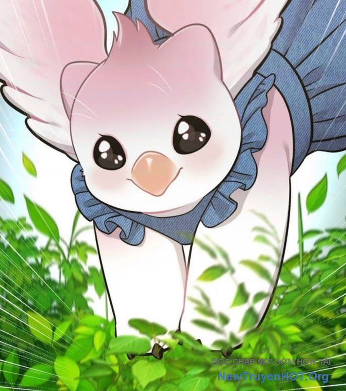 Chào Nhé, Chú Vẹt Mắt Tròn Griffin! Chapter 9 - Trang 2