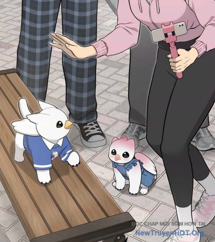 Chào Nhé, Chú Vẹt Mắt Tròn Griffin! Chapter 9 - Trang 2