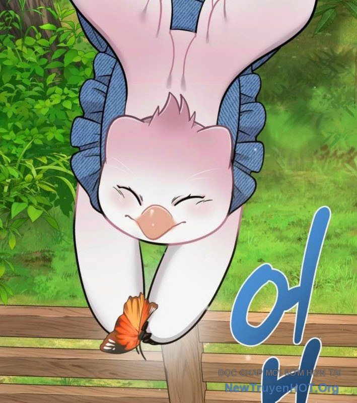 Chào Nhé, Chú Vẹt Mắt Tròn Griffin! Chapter 9 - Trang 2