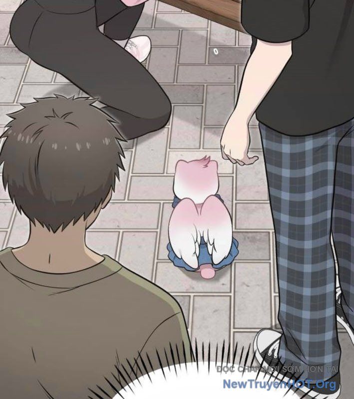 Chào Nhé, Chú Vẹt Mắt Tròn Griffin! Chapter 9 - Trang 2