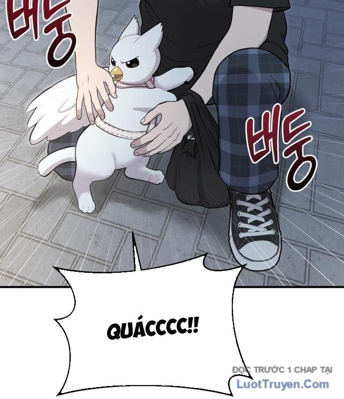 Chào Nhé, Chú Vẹt Mắt Tròn Griffin! Chapter 12 - Trang 2