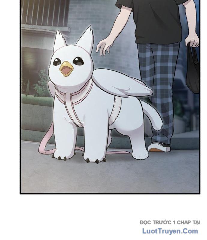 Chào Nhé, Chú Vẹt Mắt Tròn Griffin! Chapter 12 - Trang 2
