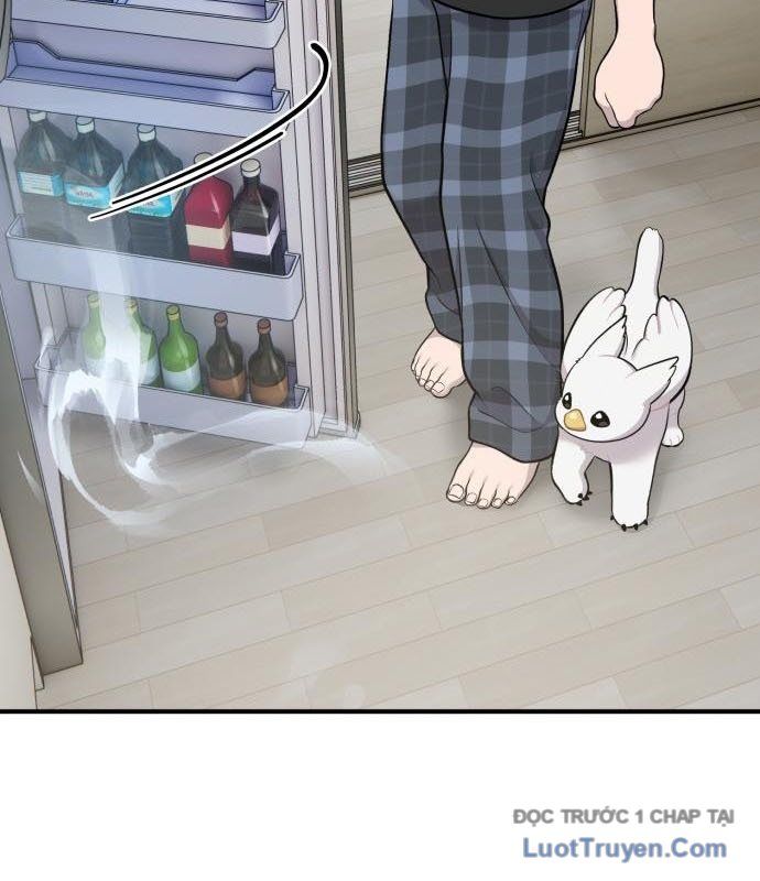 Chào Nhé, Chú Vẹt Mắt Tròn Griffin! Chapter 12 - Trang 2