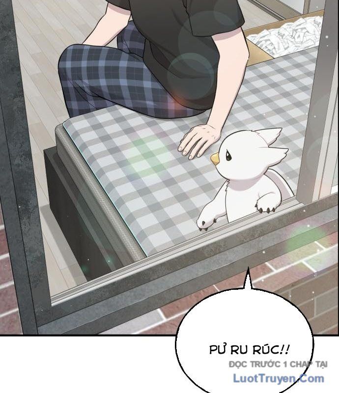 Chào Nhé, Chú Vẹt Mắt Tròn Griffin! Chapter 12 - Trang 2