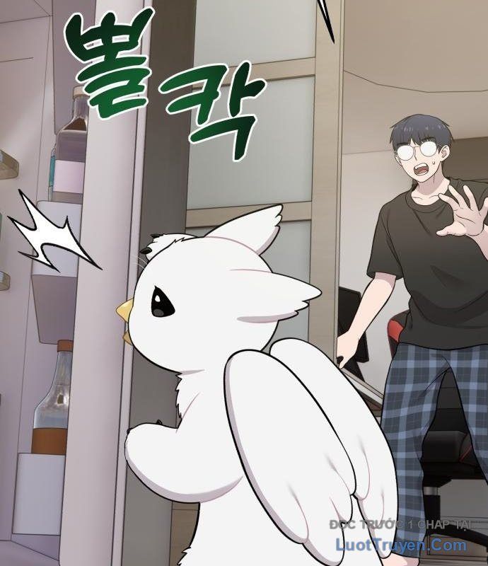 Chào Nhé, Chú Vẹt Mắt Tròn Griffin! Chapter 12 - Trang 2