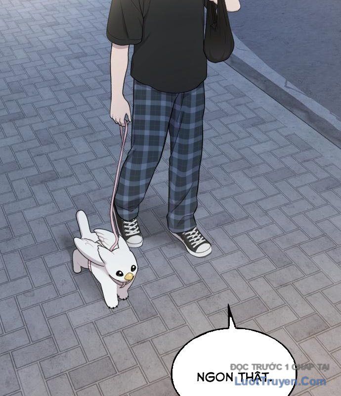 Chào Nhé, Chú Vẹt Mắt Tròn Griffin! Chapter 12 - Trang 2