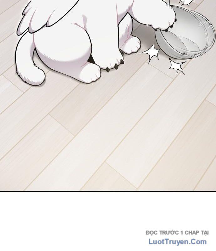 Chào Nhé, Chú Vẹt Mắt Tròn Griffin! Chapter 14 - Trang 2