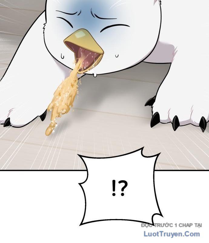 Chào Nhé, Chú Vẹt Mắt Tròn Griffin! Chapter 14 - Trang 2