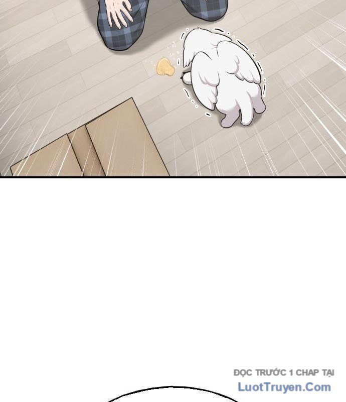 Chào Nhé, Chú Vẹt Mắt Tròn Griffin! Chapter 14 - Trang 2