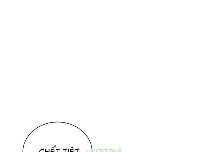 Cá Mập Wyvern Chapter 111 - Trang 2
