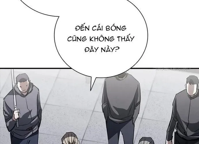 Cá Mập Wyvern Chapter 113 - Trang 2