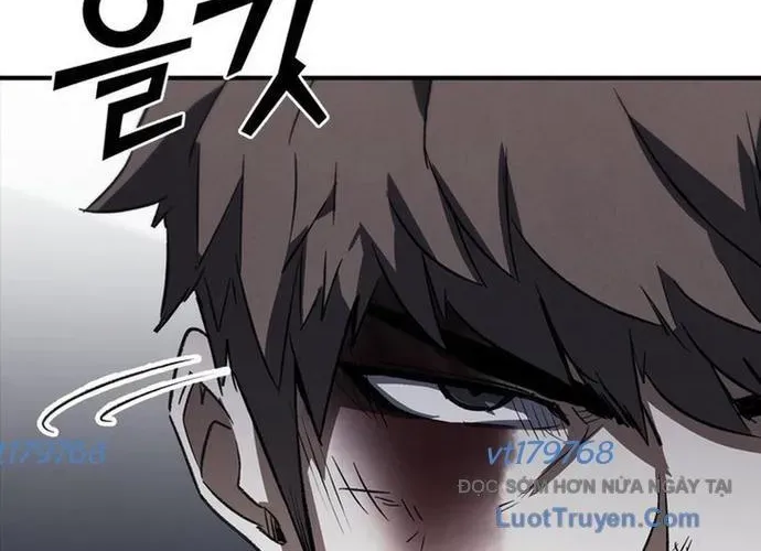 Cá Mập Wyvern Chapter 114 - Trang 2
