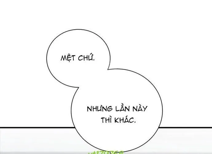 Cá Mập Wyvern Chapter 114 - Trang 2