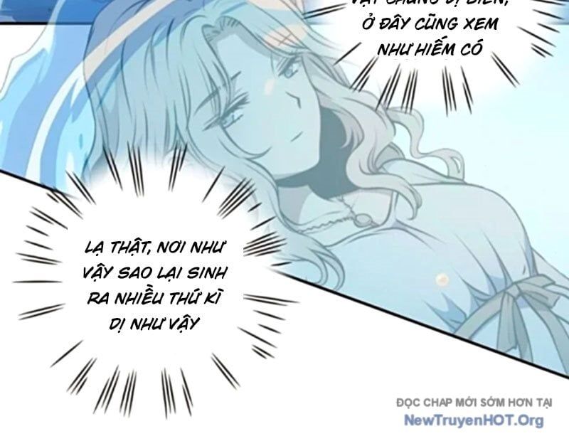 Thành Thần Bắt Đầu Từ Một Hồ Nước Chapter 13 - Trang 2