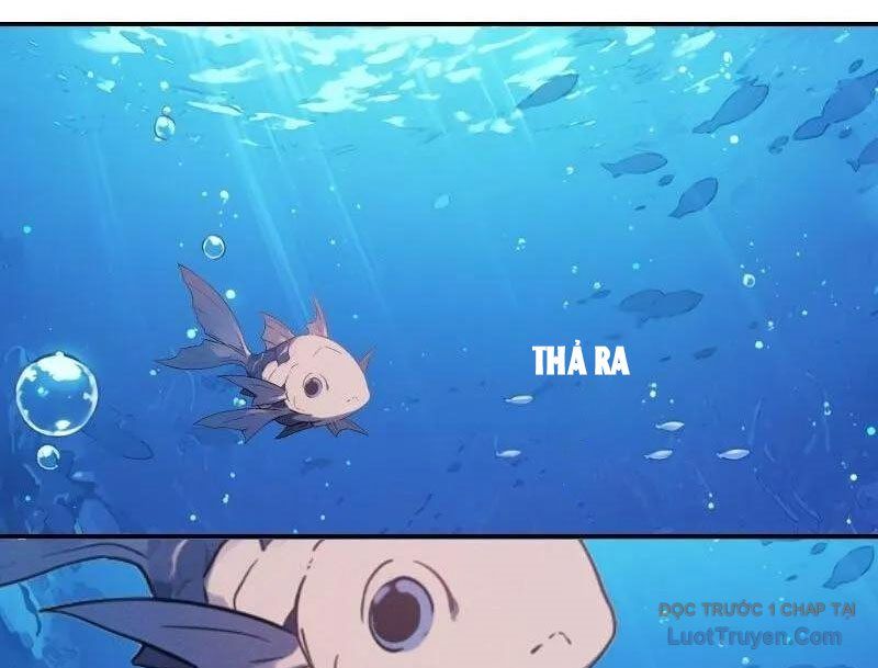 Thành Thần Bắt Đầu Từ Một Hồ Nước Chapter 16 - Trang 2